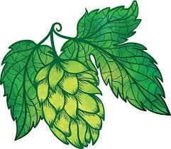 lupulo