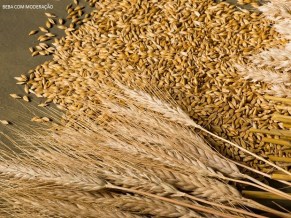 cervejeiros_maltarias